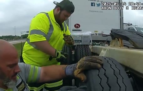 Redding van een kat