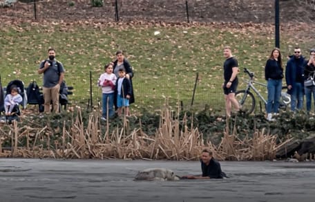 Salvataggio di un cane a Central Park