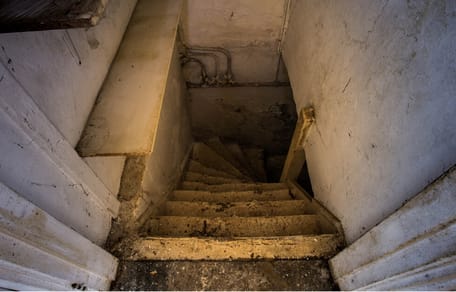escaleras al sótano y perro