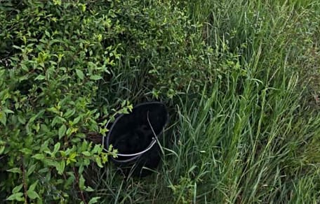 Schwarzer Eimer im Gras