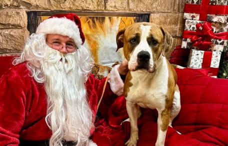 Séance photo de Noël