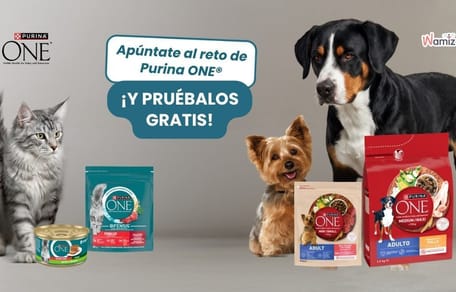 sorteo de tres semanas de Purina One