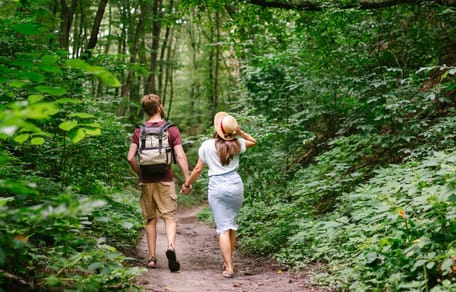 Spaziergänger finden Handtuch im Wald