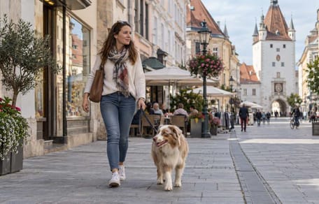 Spaziergängerin mit Hund in Wien