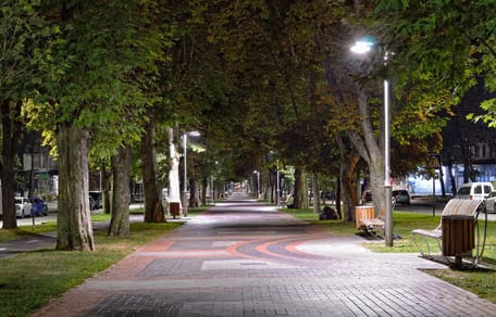 Paseo y una sombra entre los arbustos