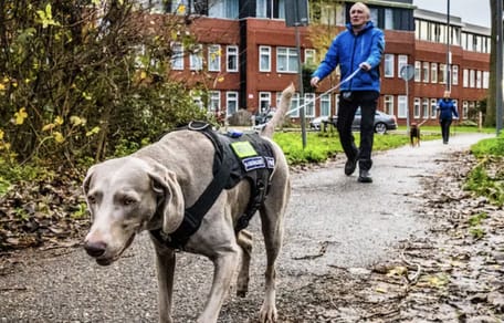 Speurhonden helpen bij opsporen verdwaalde mensen met dementie