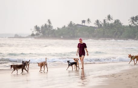 spiagge per cani nel Lazio