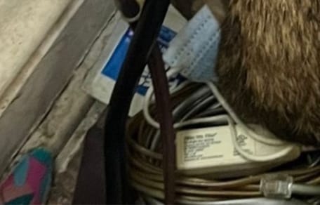 Politie doet huiveringwekkende ontdekking in verlaten woning in Missouri