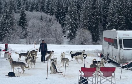 Stel met 18 husky's reist door Europa