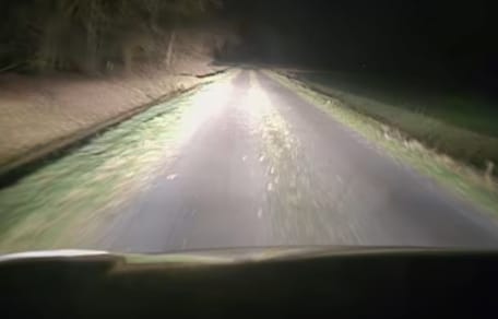 Straße vor dem Tierheim