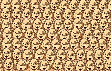 Suchbild Katze unter Hunden