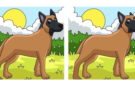 Suchbild zwei Hunde mit Unterschieden