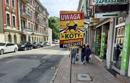 Tablica informacyjna o kotach w Gnieźnie