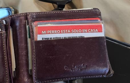 tarjeta-cartera-emergencia-perro