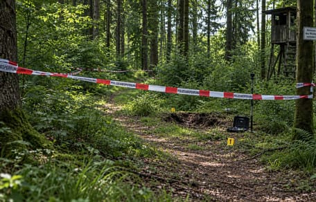 Tatort im Wald