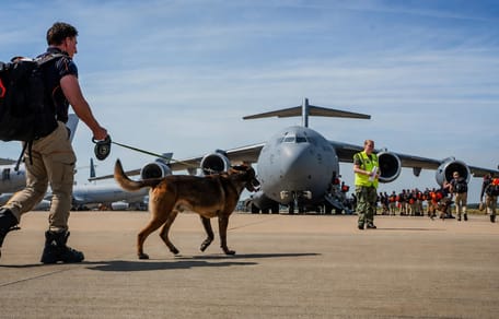 Team USAR vliegt met 8 honden weer terug vanuit Venezuela