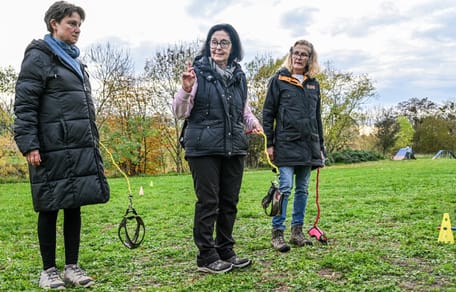 Participantes en Hobby Dogging