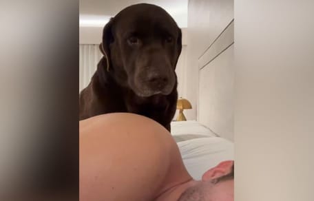 terral-perro-pablo-alboran