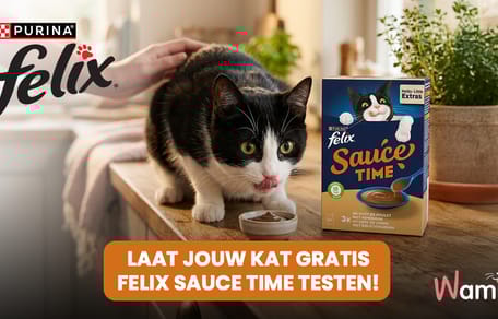 Test Felix Sauce Time gratis