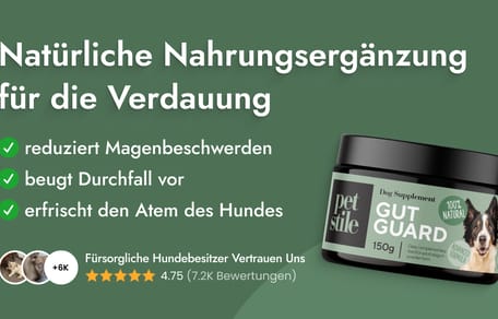 Tipps für eine gesunde Verdauung bei Hund
