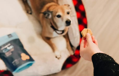 traktatie voor hond