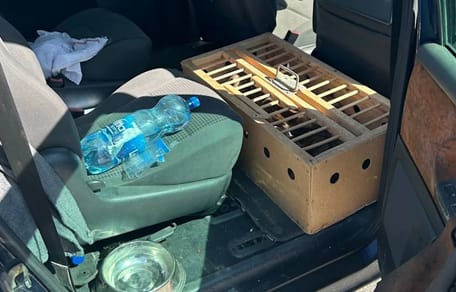 Transportbox im Innenraum des Transporters
