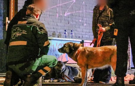 Twee honden uit brandend huis gered in Nijmegen