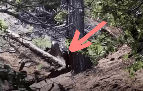 Hiker spots something on her mountain trek that changes her life forever (video)