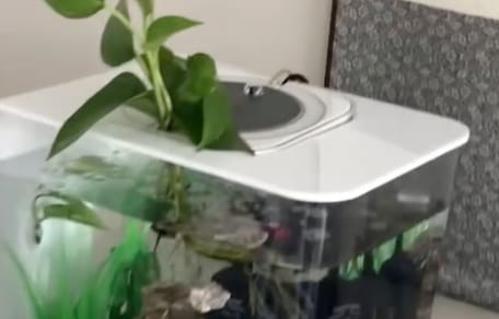 Ein Aquarium