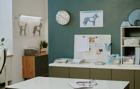 A veterinary practice