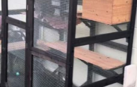 Ein Catio