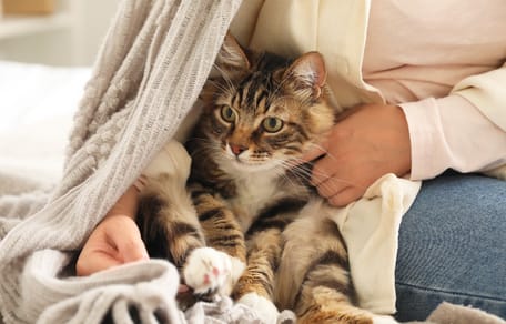 Un chat et son humaine