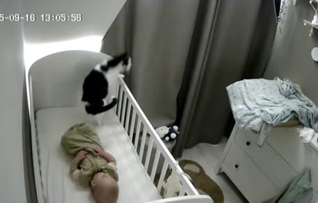 Un chat sur un lit de bébé