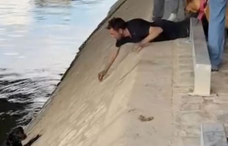 Un chien a été sauvé de la noyade
