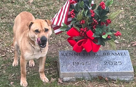 Un cane seduto davanti a una tomba in un cimitero