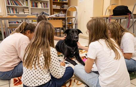 A dog at secondary school to support children