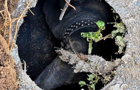 Un perro atrapado en un pozo de drenaje