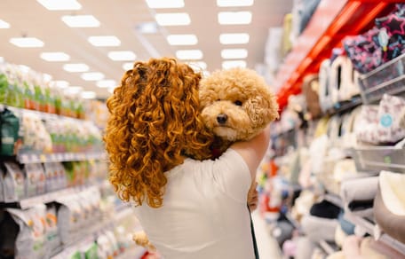 Un chien dans les bras d'une femme