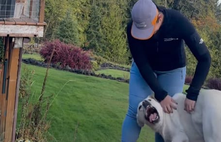 Ein Hund, der glücklich im Garten spielt