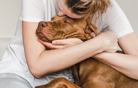 A dog cuddling a woman