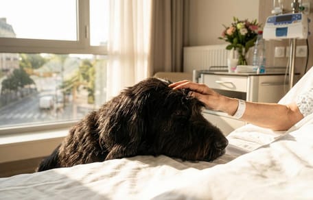 Ein Hund steht am Krankenbett seines Halters