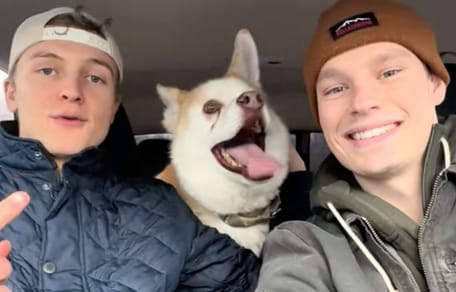 Een hond gered door influencers