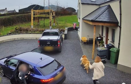 Een hond steelt een kalkoen