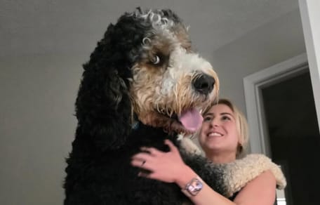 Tout le monde a du mal à croire que la photo de ce chien « gigantesque » ne soit pas une création de l'IA