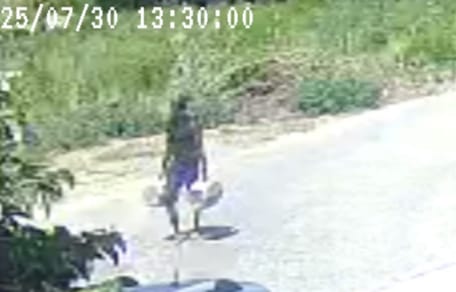 Un homme en train d'abandonner des chats