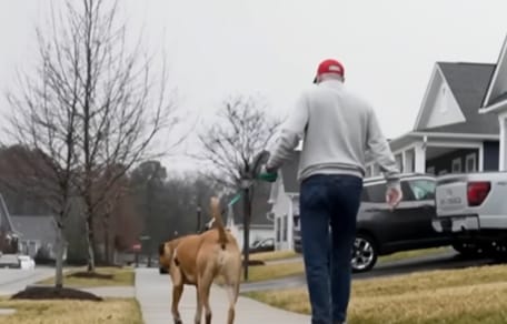Un homme qui promène son chien dans la rue