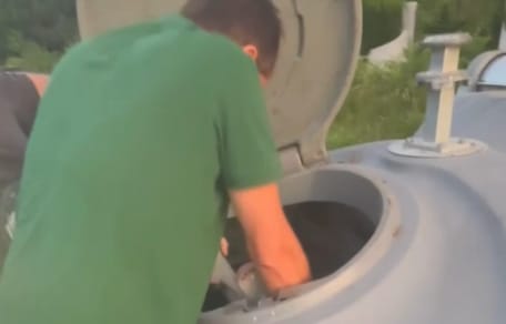 Un homme trouve un chaton dans une poubelle