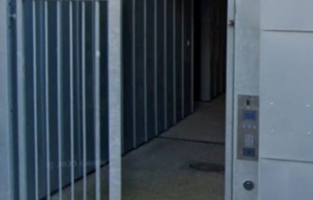 Trois chatons abandonnés au pied d'un immeuble : le refuge fait une mise au point face à cet acte dangereux
