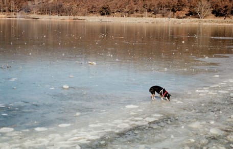 Un lago ghiacciato