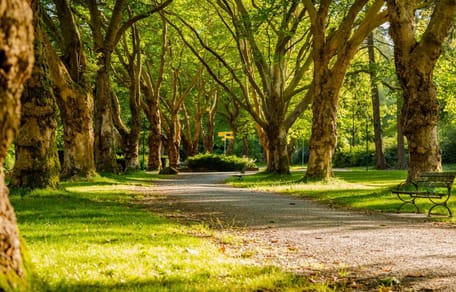 Un parc